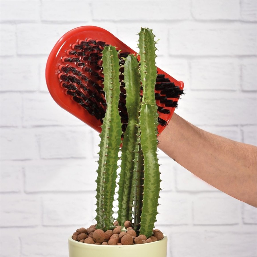 Jardin Exterieur Et Animaux Tempsl | Gant Pour Cactus