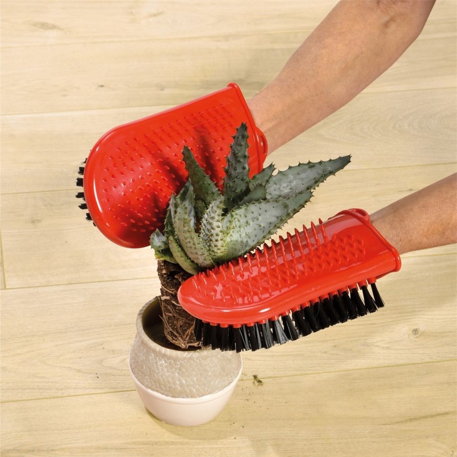 Jardin Exterieur Et Animaux Tempsl | Gant Pour Cactus