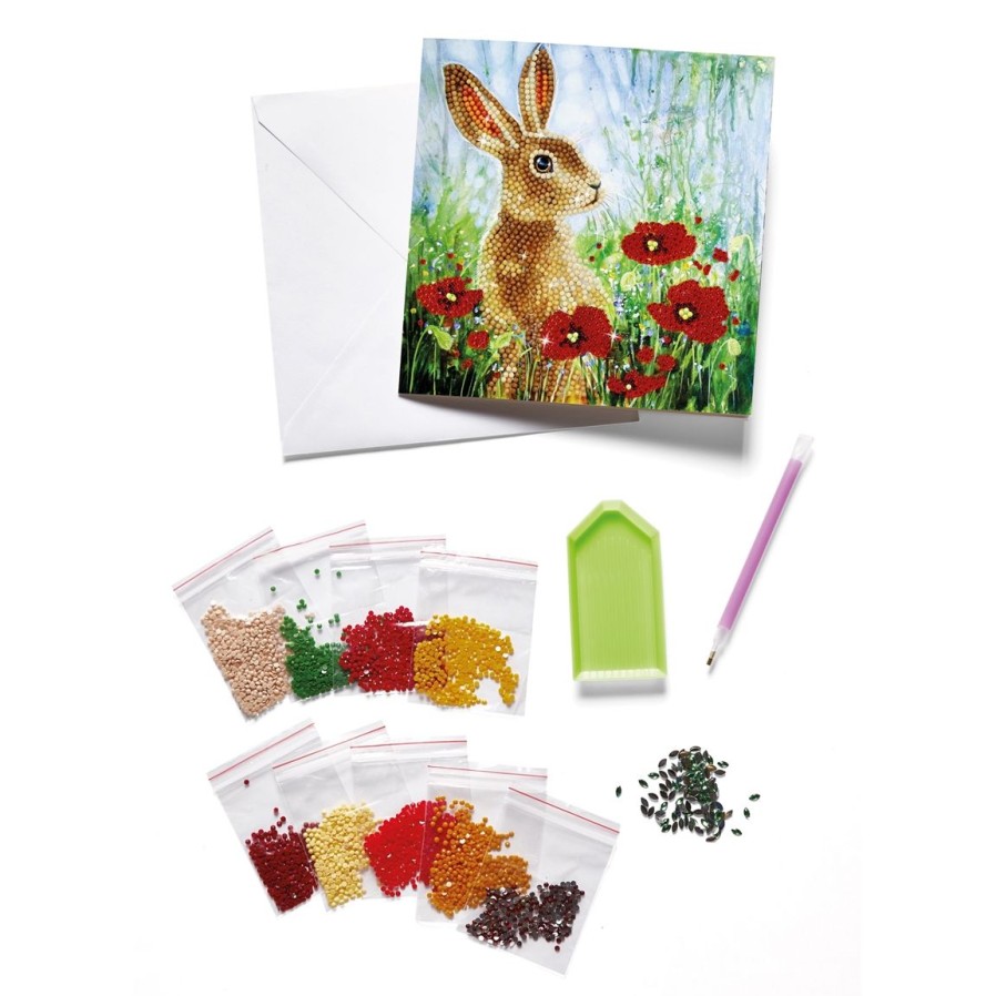 Maison Et Decoration Tempsl | Kit Carte Broderie Diamant Lapin Et Coquelicot