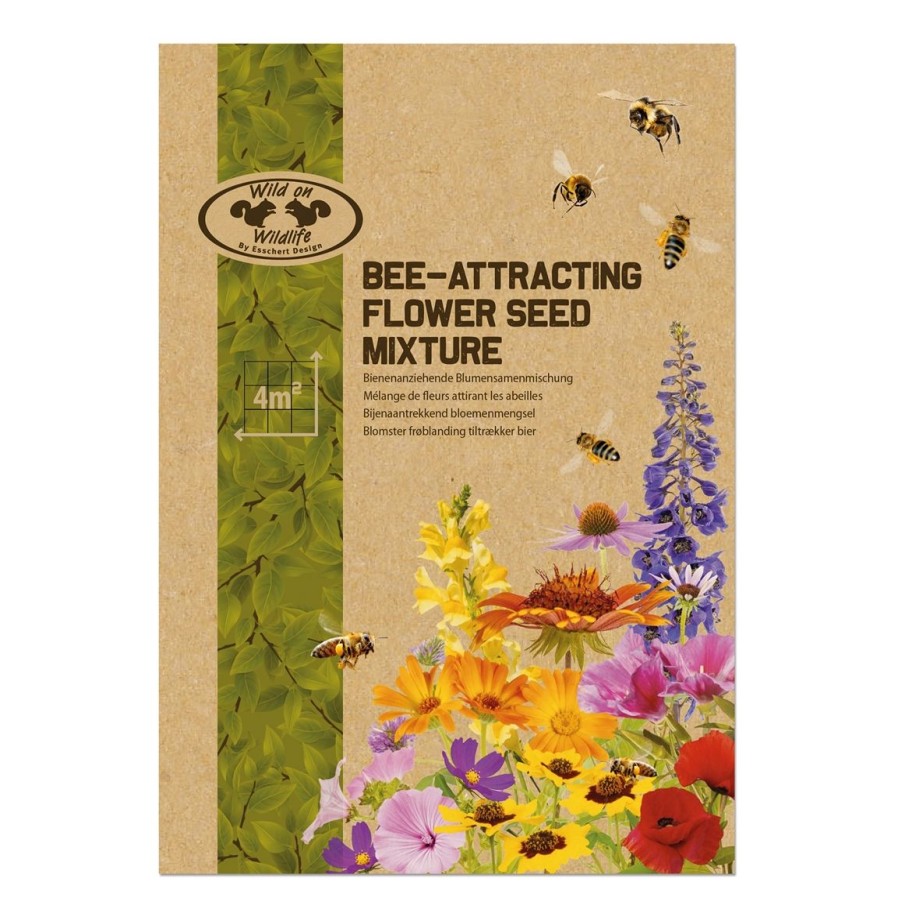 Jardin Exterieur Et Animaux Tempsl | Melange De Fleurs Pour Attirer Les Abeilles Ou Papillons