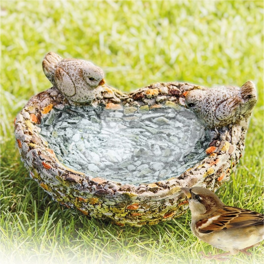 Jardin Exterieur Et Animaux Tempsl | Abreuvoir Oiseaux Coeur