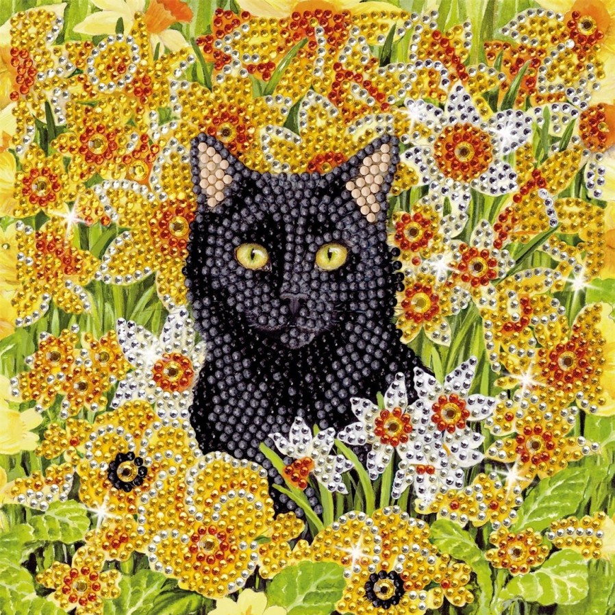 Maison Et Decoration Tempsl | Kit Carte Broderie Diamant Chat Dans Le Pre