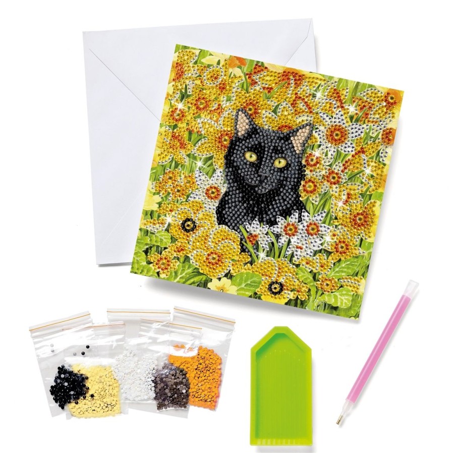 Maison Et Decoration Tempsl | Kit Carte Broderie Diamant Chat Dans Le Pre