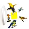 Cuisine Tempsl | Magnets Oiseaux