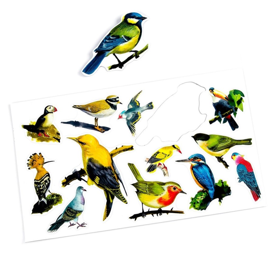 Cuisine Tempsl | Magnets Oiseaux