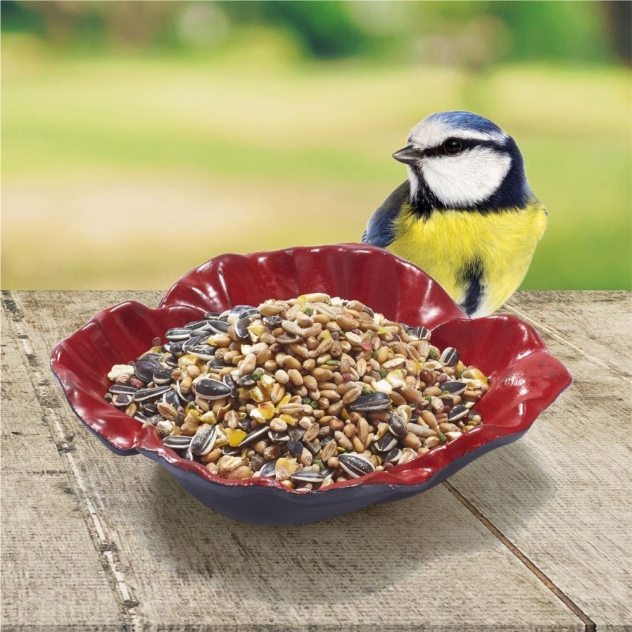 Jardin Exterieur Et Animaux Tempsl | Baignoire / Mangeoire A Oiseaux