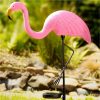 Jardin Exterieur Et Animaux Tempsl | Flamant Rose Solaire